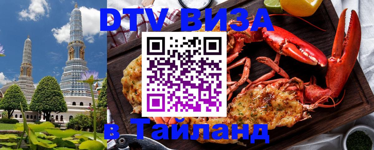 Оформление DTV визы под ключ: стоимость и тарифы, только загранпаспорт - 19.11.2025 